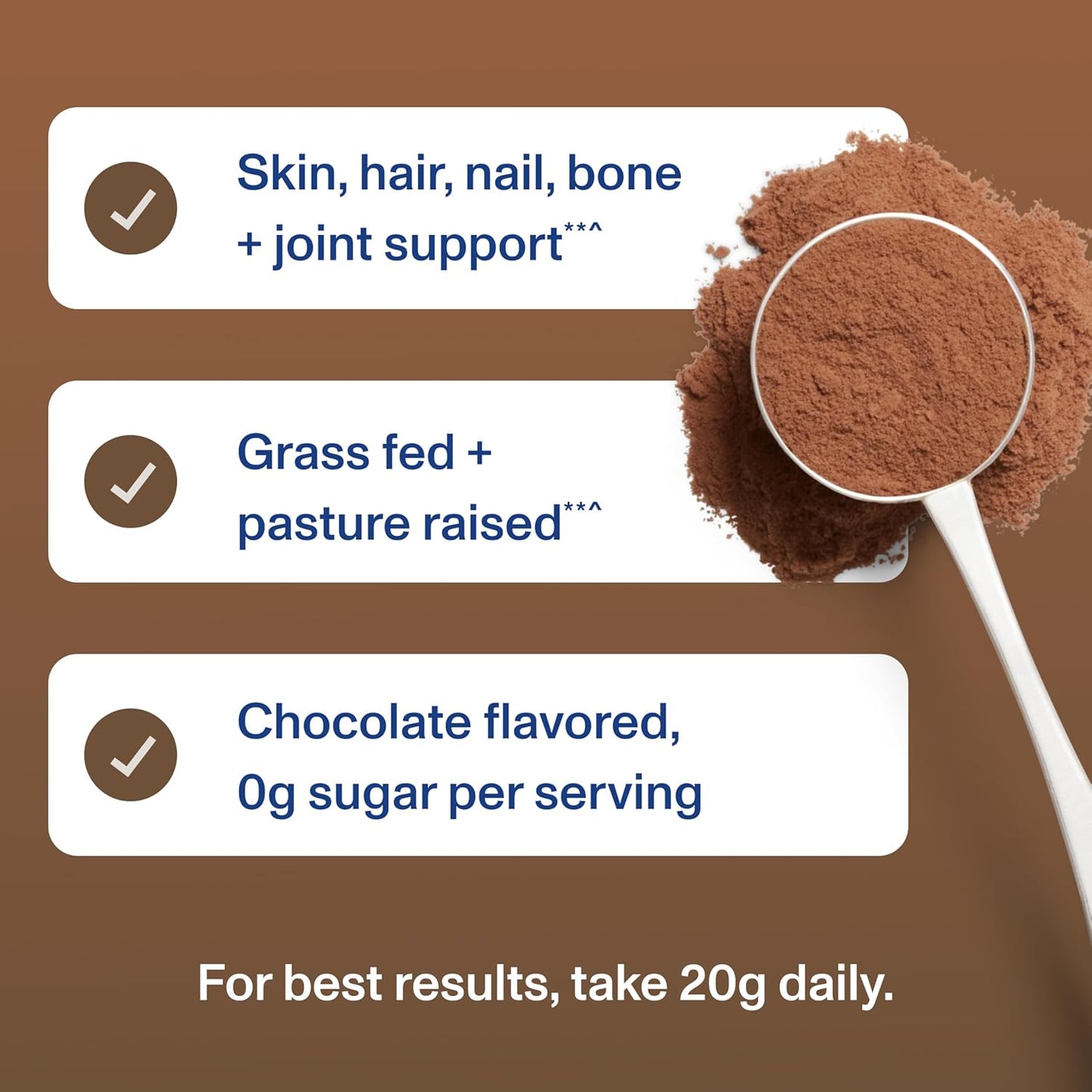 Vital Proteins - Chocolate Collagen Peptides