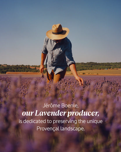 L'Occitane - Lavender Hand Cream