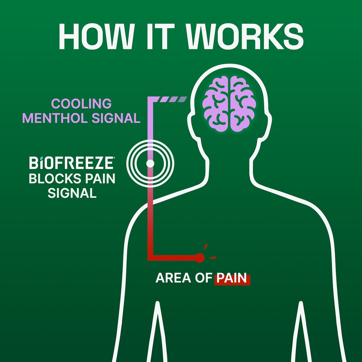 Biofreeze - Overnight Lavender-Scented Pain Relief Gel