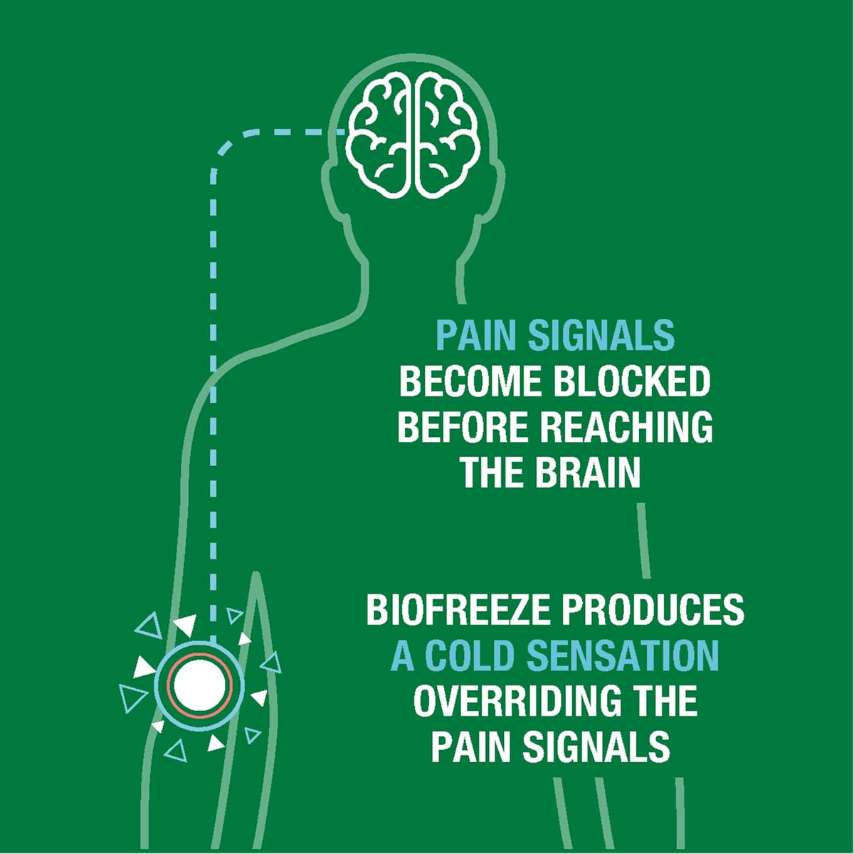 Biofreeze - Day & Overnight Arthritis & Muscle Pain Relief Patches