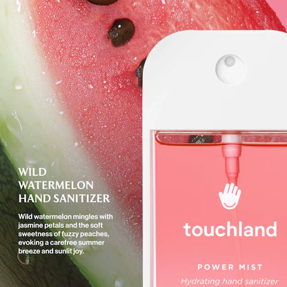 Touchland -  Power Mist Hydrating Hand Sanitizer