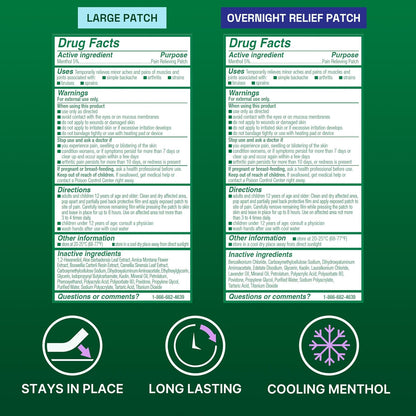 Biofreeze - Day & Overnight Arthritis & Muscle Pain Relief Patches