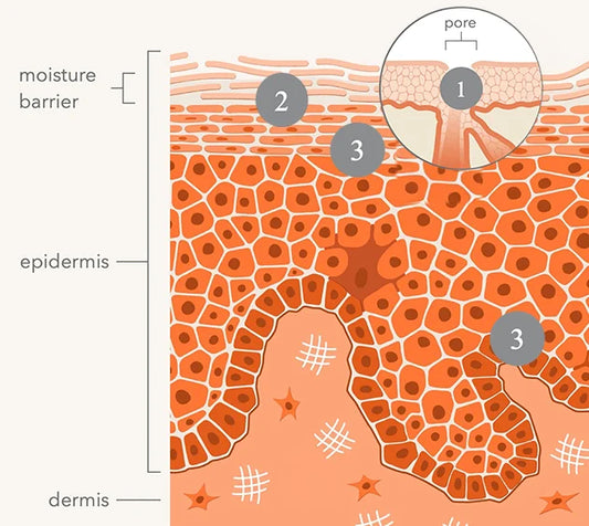 Dr Dennis Gross - Alpha Beta AHA/BHA Daily Cleansing Gel