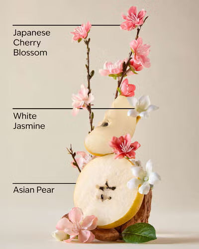 Bath & Body Works - Japanese Cherry Blossom Hand Cream