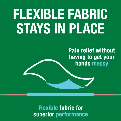 Biofreeze - Pain Relief Patches (Large 5 Patches)