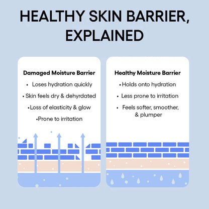 LANEIGE Icons To Go Set