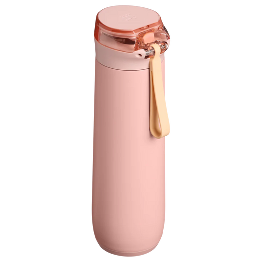 Stanley - The Flowstate Spring Bottle | 20 OZ