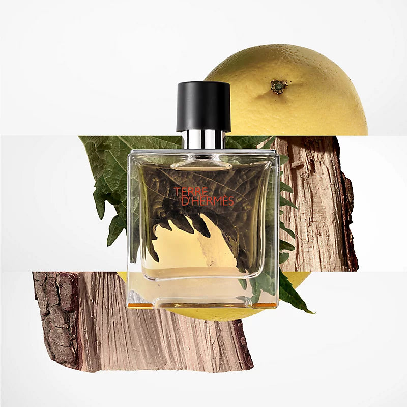 Hermes - Terre d'Hermès Perfume